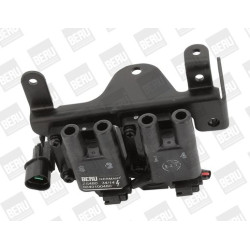 Ritė, uždegimas BorgWarner (BERU) ZS480