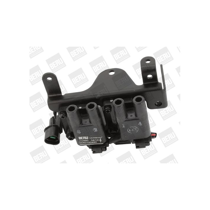 Ritė, uždegimas BorgWarner (BERU) ZS480