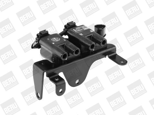 Ritė, uždegimas BorgWarner (BERU) ZS480