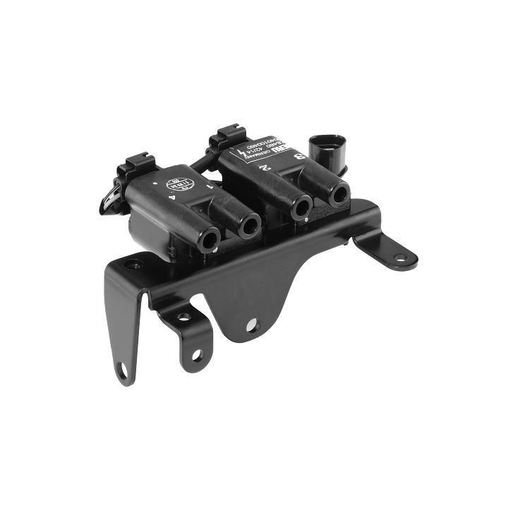 Ritė, uždegimas BorgWarner (BERU) ZS480