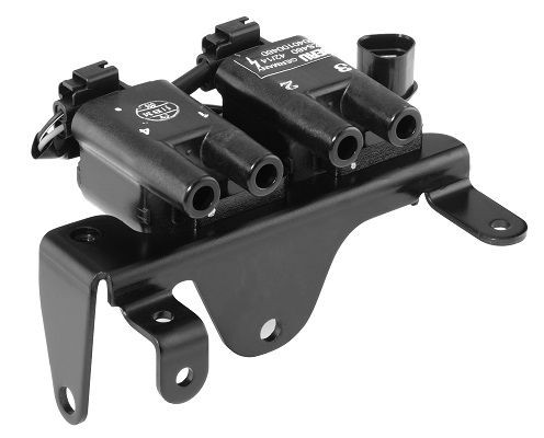 Ritė, uždegimas BorgWarner (BERU) ZS480