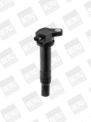 Ritė, uždegimas BorgWarner (BERU) ZS481