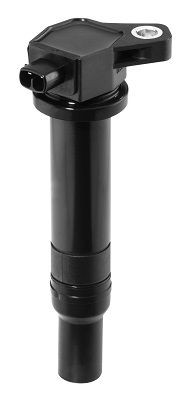 Ritė, uždegimas BorgWarner (BERU) ZS481