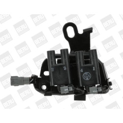 Ritė, uždegimas BorgWarner (BERU) ZS482