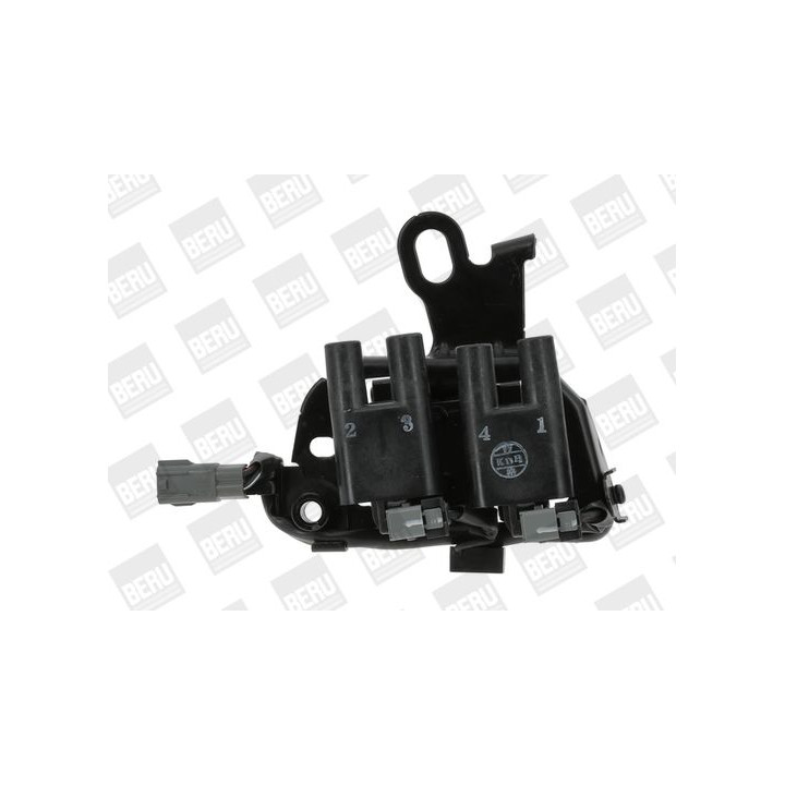 Ritė, uždegimas BorgWarner (BERU) ZS482