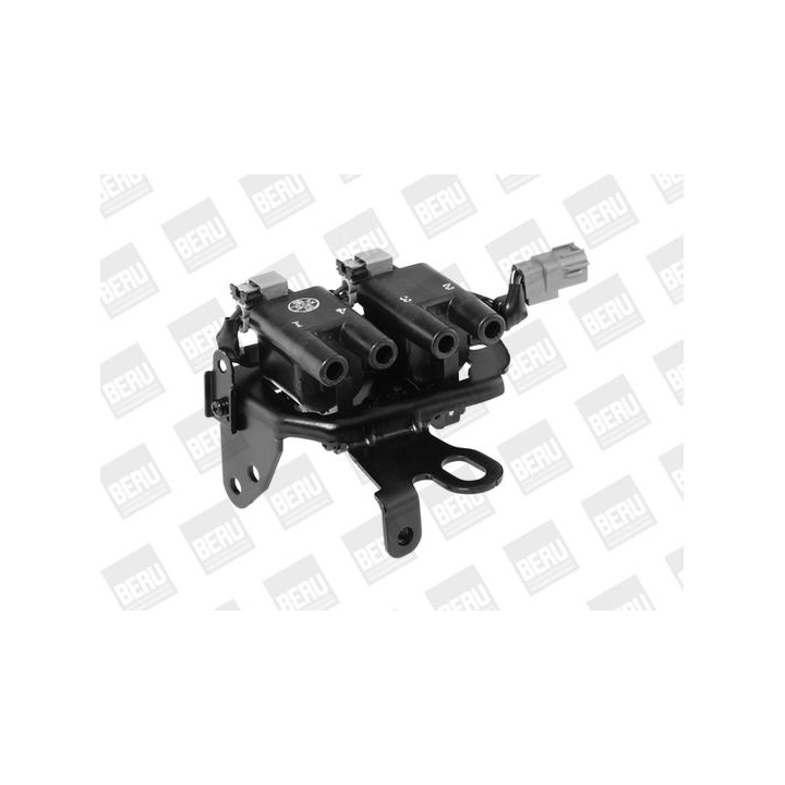 Ritė, uždegimas BorgWarner (BERU) ZS482