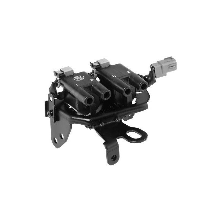 Ritė, uždegimas BorgWarner (BERU) ZS482