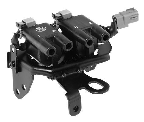 Ritė, uždegimas BorgWarner (BERU) ZS482