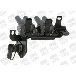 Ritė, uždegimas BorgWarner (BERU) ZS483