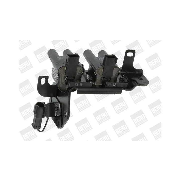 Ritė, uždegimas BorgWarner (BERU) ZS483