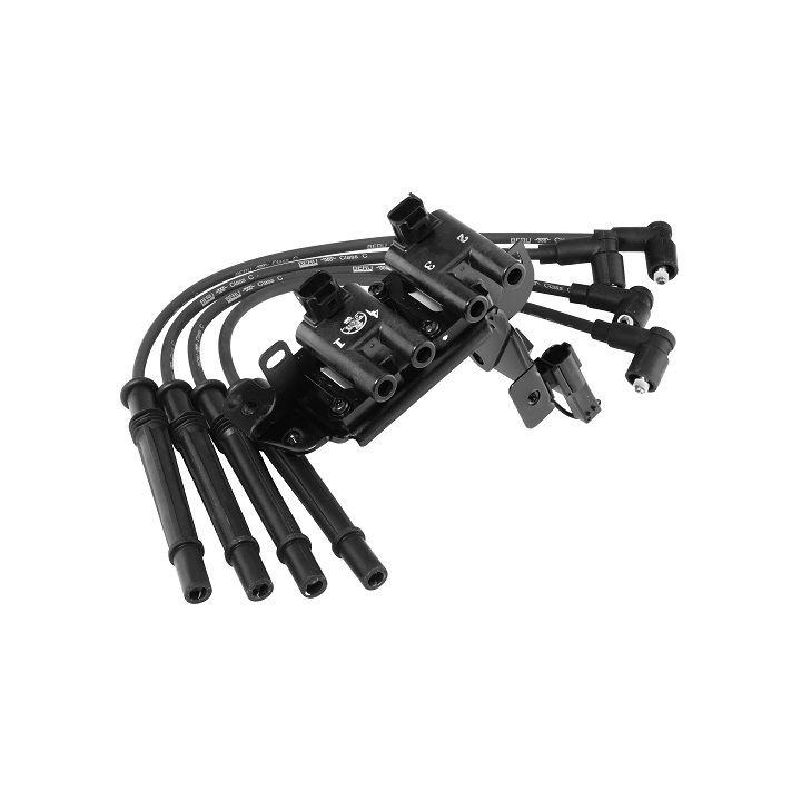 Ritė, uždegimas BorgWarner (BERU) ZS483