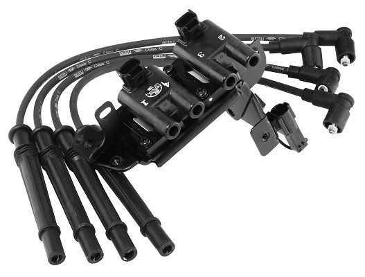 Ritė, uždegimas BorgWarner (BERU) ZS483