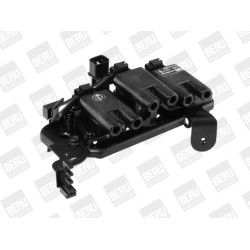 Ritė, uždegimas BorgWarner (BERU) ZS485