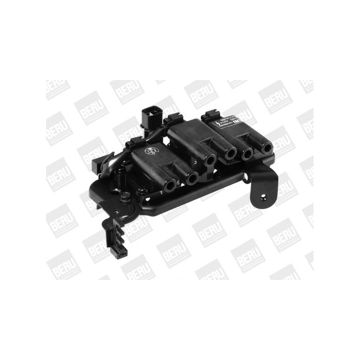 Ritė, uždegimas BorgWarner (BERU) ZS485