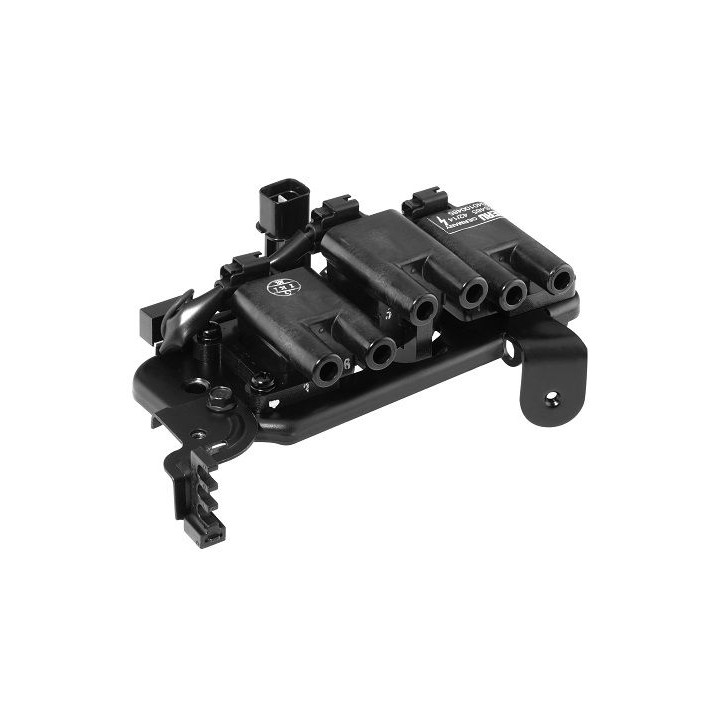 Ritė, uždegimas BorgWarner (BERU) ZS485