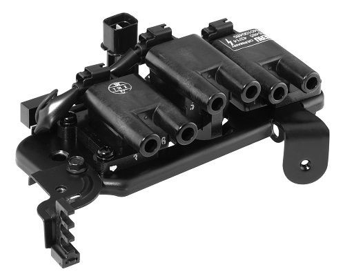 Ritė, uždegimas BorgWarner (BERU) ZS485