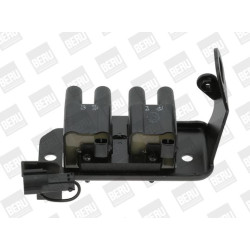 Ritė, uždegimas BorgWarner (BERU) ZS486