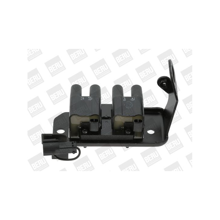 Ritė, uždegimas BorgWarner (BERU) ZS486