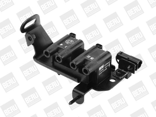 Ritė, uždegimas BorgWarner (BERU) ZS486