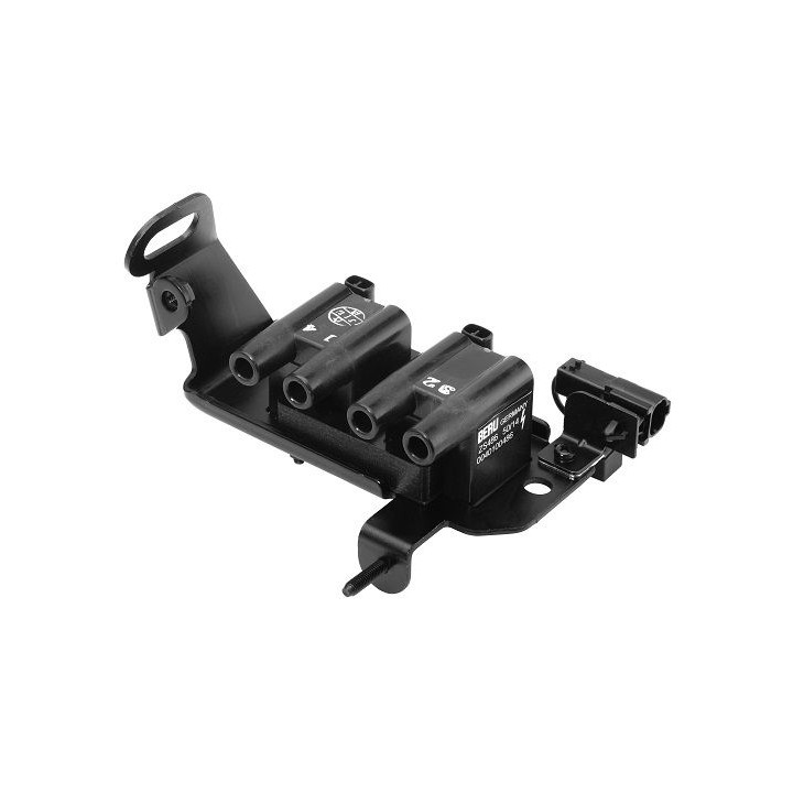 Ritė, uždegimas BorgWarner (BERU) ZS486