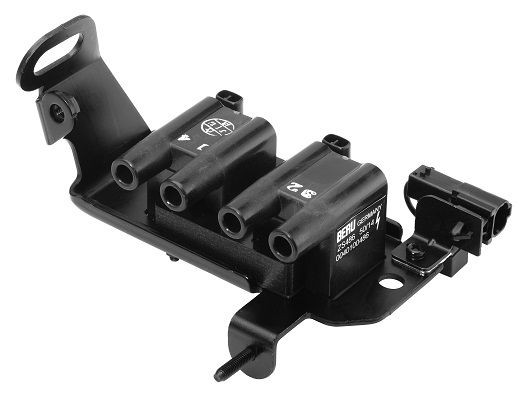 Ritė, uždegimas BorgWarner (BERU) ZS486