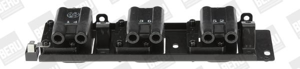 Ritė, uždegimas BorgWarner (BERU) ZS487