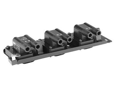 Ritė, uždegimas BorgWarner (BERU) ZS487