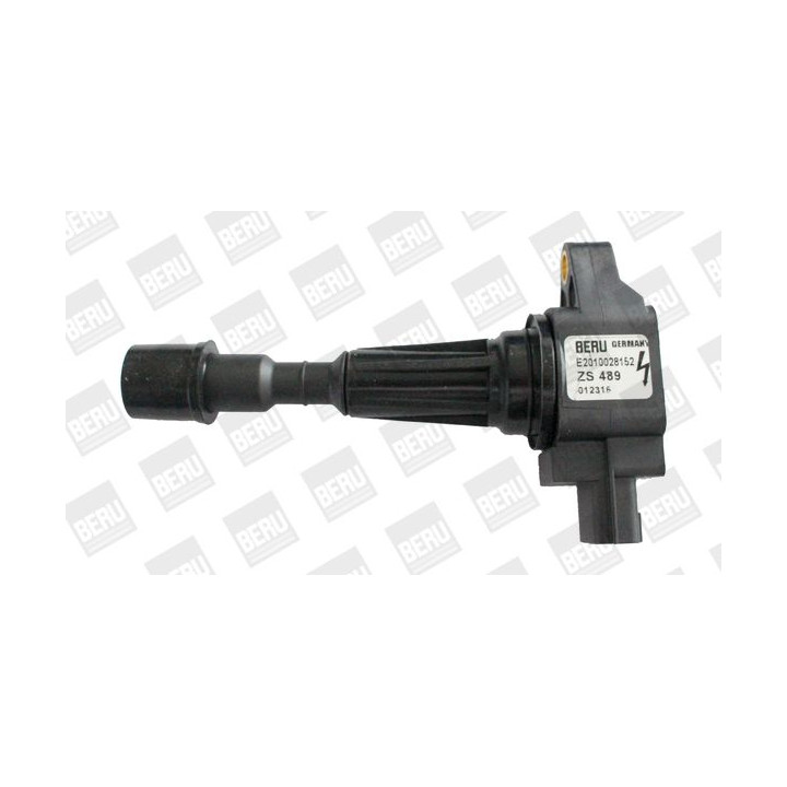 Ritė, uždegimas BorgWarner (BERU) ZS489