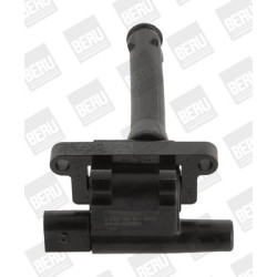 Ritė, uždegimas BorgWarner (BERU) ZS501