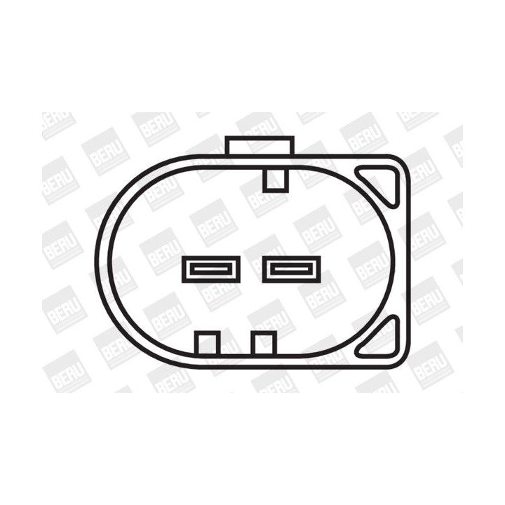 Ritė, uždegimas BorgWarner (BERU) ZS501