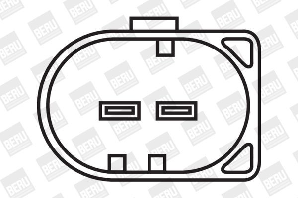 Ritė, uždegimas BorgWarner (BERU) ZS502