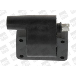 Ritė, uždegimas BorgWarner (BERU) ZS511