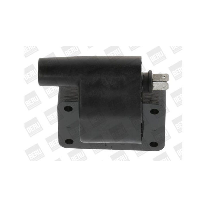 Ritė, uždegimas BorgWarner (BERU) ZS511
