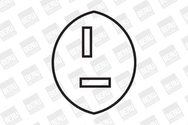 Ritė, uždegimas BorgWarner (BERU) ZS511