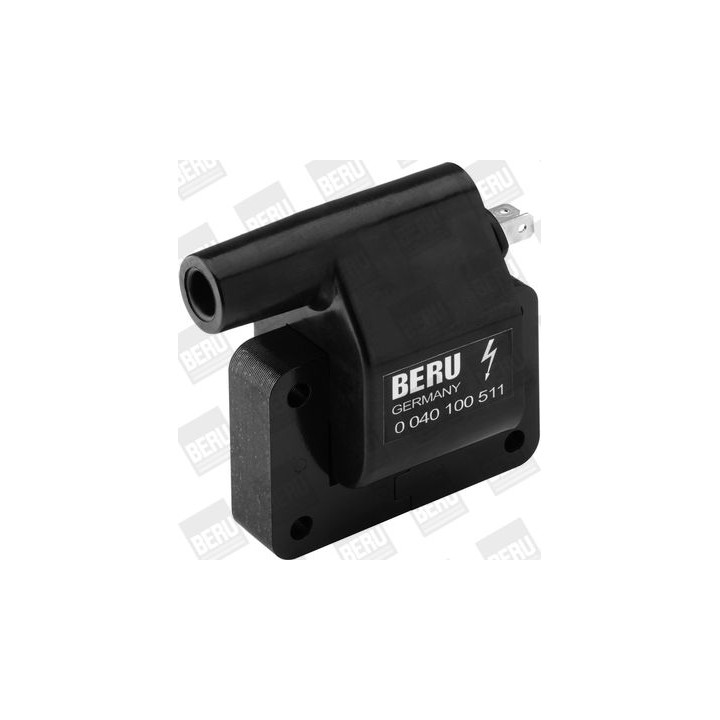 Ritė, uždegimas BorgWarner (BERU) ZS511