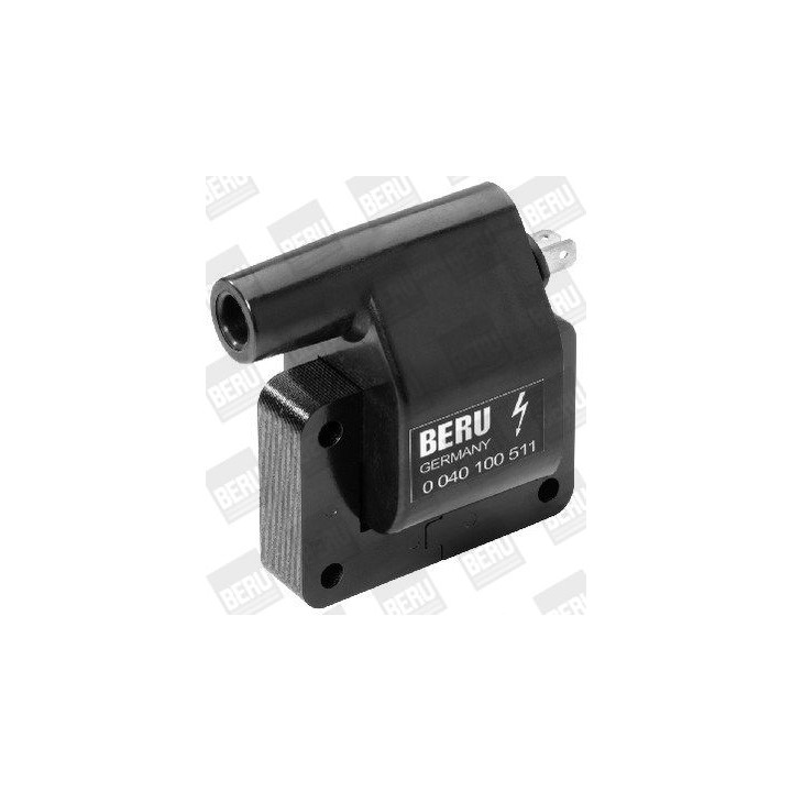 Ritė, uždegimas BorgWarner (BERU) ZS511