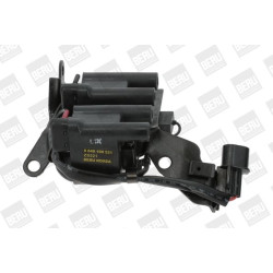 Ritė, uždegimas BorgWarner (BERU) ZS521