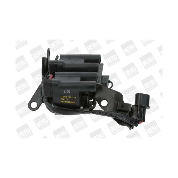 Ritė, uždegimas BorgWarner (BERU) ZS521