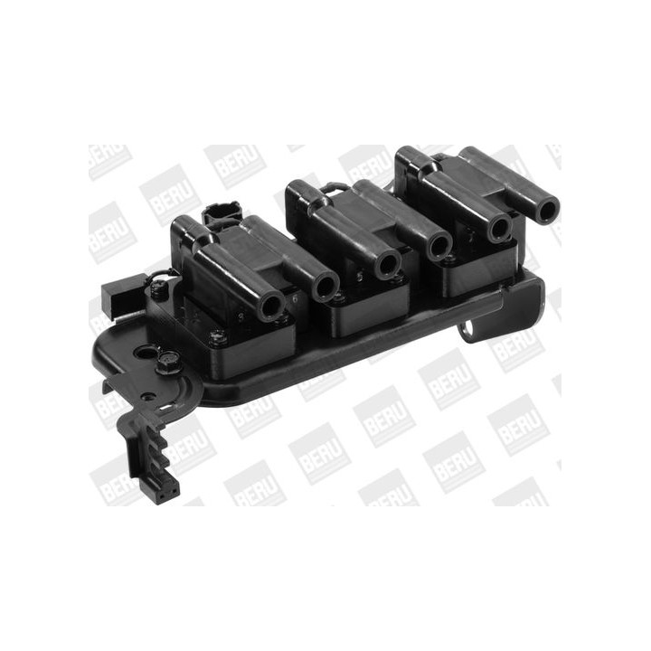 Ritė, uždegimas BorgWarner (BERU) ZS522