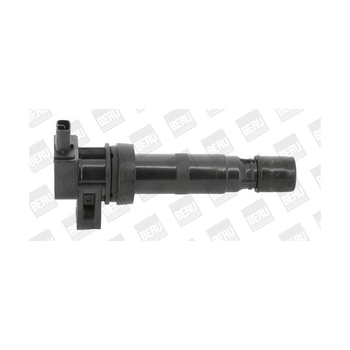 Ritė, uždegimas BorgWarner (BERU) ZS531