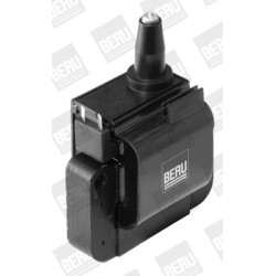 Ritė, uždegimas BorgWarner (BERU) ZS532