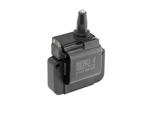 Ritė, uždegimas BorgWarner (BERU) ZS532