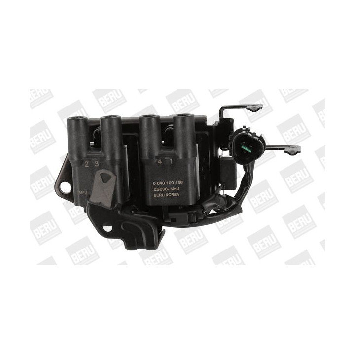 Ritė, uždegimas BorgWarner (BERU) ZS536