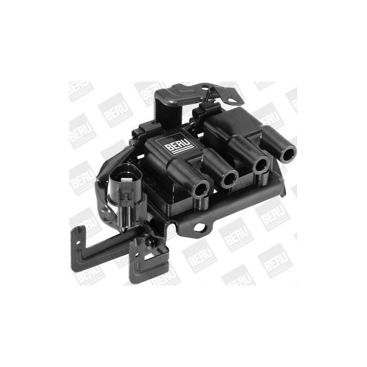 Ritė, uždegimas BorgWarner (BERU) ZS536