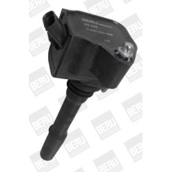 Ritė, uždegimas BorgWarner (BERU) ZS538