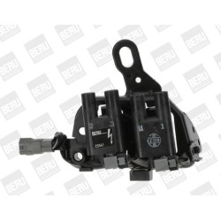 Ritė, uždegimas BorgWarner (BERU) ZS541