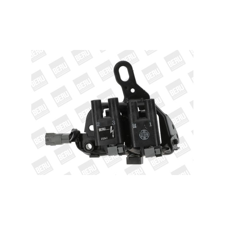 Ritė, uždegimas BorgWarner (BERU) ZS541