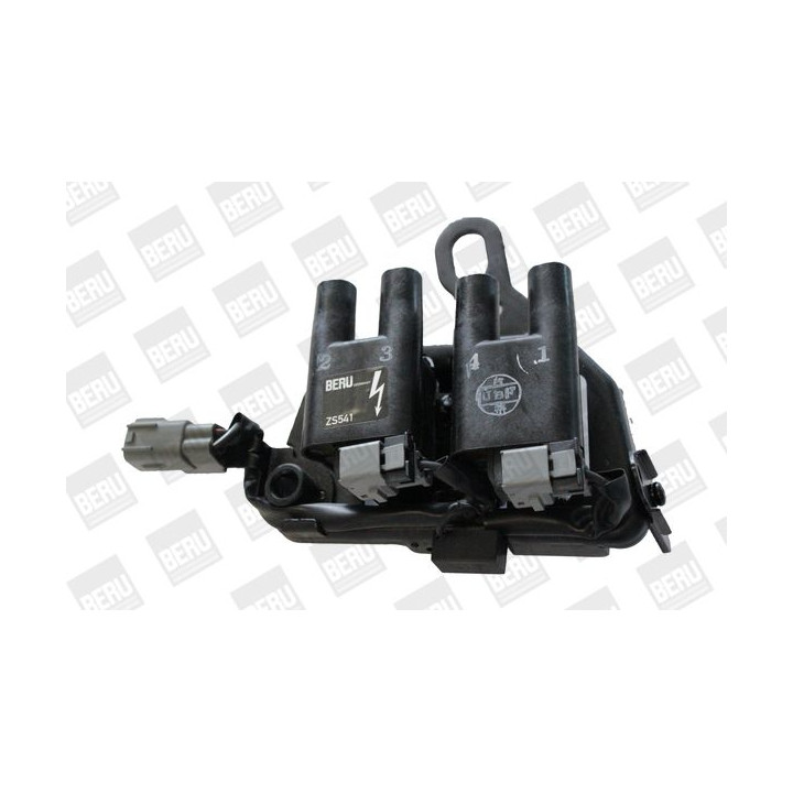 Ritė, uždegimas BorgWarner (BERU) ZS541