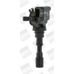 Ritė, uždegimas BorgWarner (BERU) ZS542