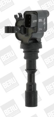 Ritė, uždegimas BorgWarner (BERU) ZS542